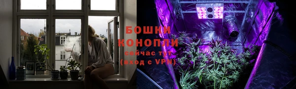 бошки Аркадак