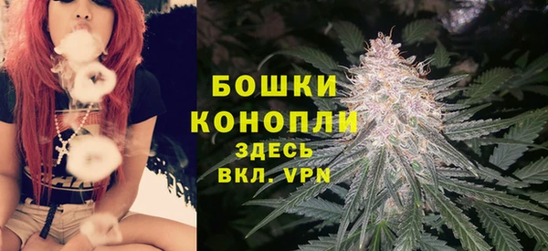 бошки Аркадак