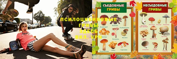 бошки Аркадак