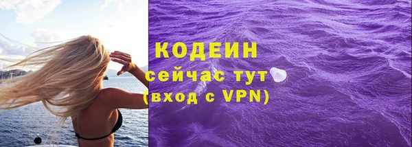 стафф Каменка